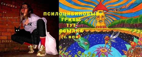 соль курить ск Володарск