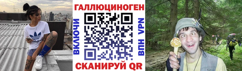 нарко площадка наркотические препараты  Светлогорск  Галлюциногенные грибы мухоморы  даркнет сайт 